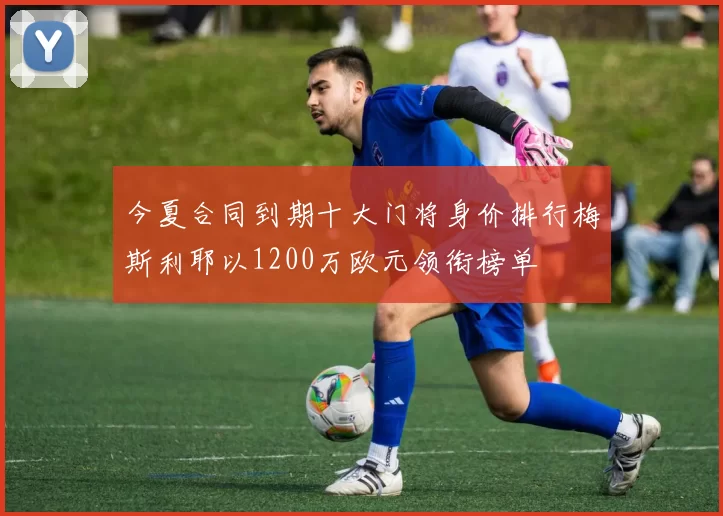 今夏合同到期十大门将身价排行梅斯利耶以1200万欧元领衔榜单